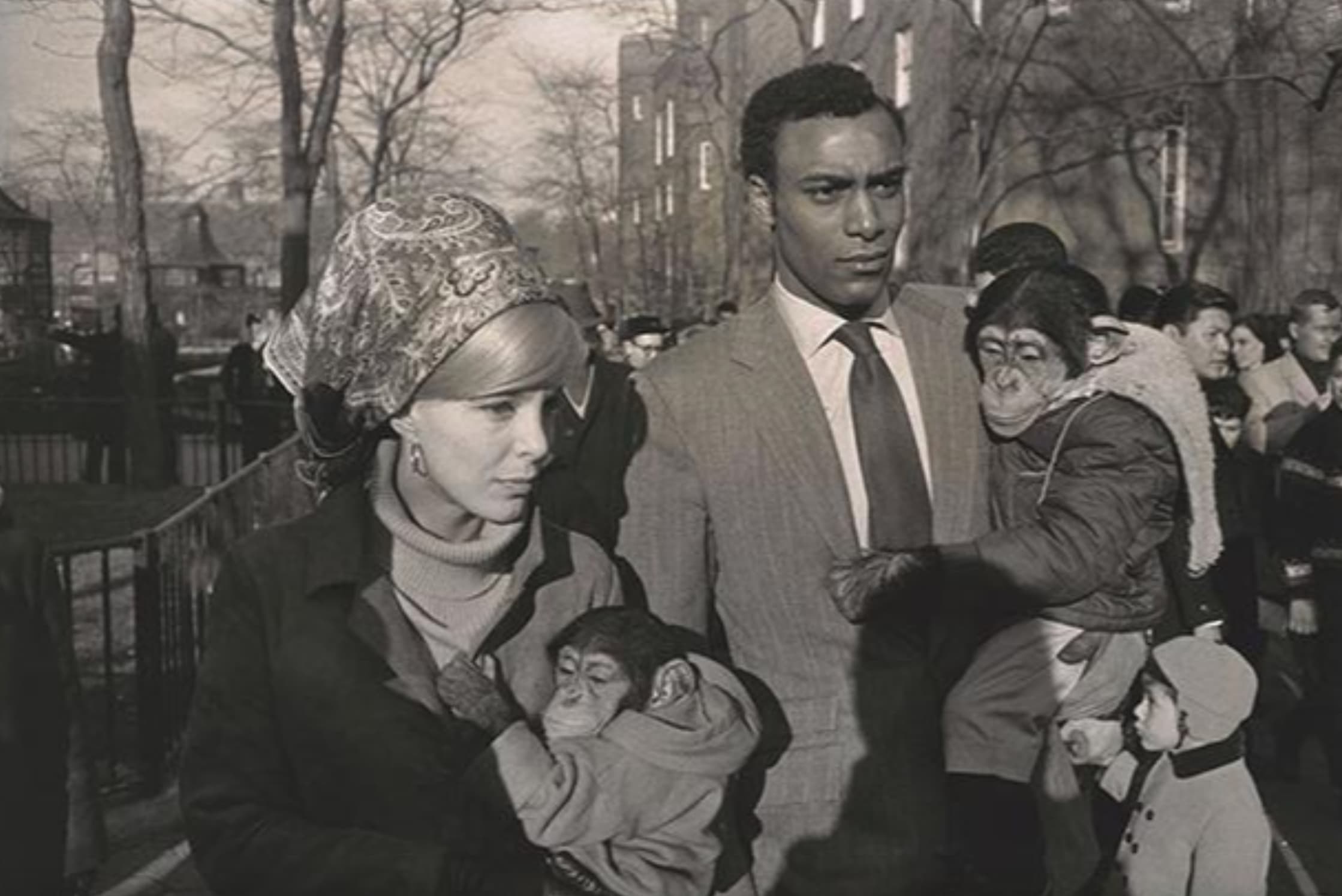 garry winogrand central park zoo new york 1967 - 73